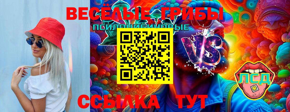 Майский  Псилоцибиновые грибы MAGIC MUSHROOMS  Вход с VPN 